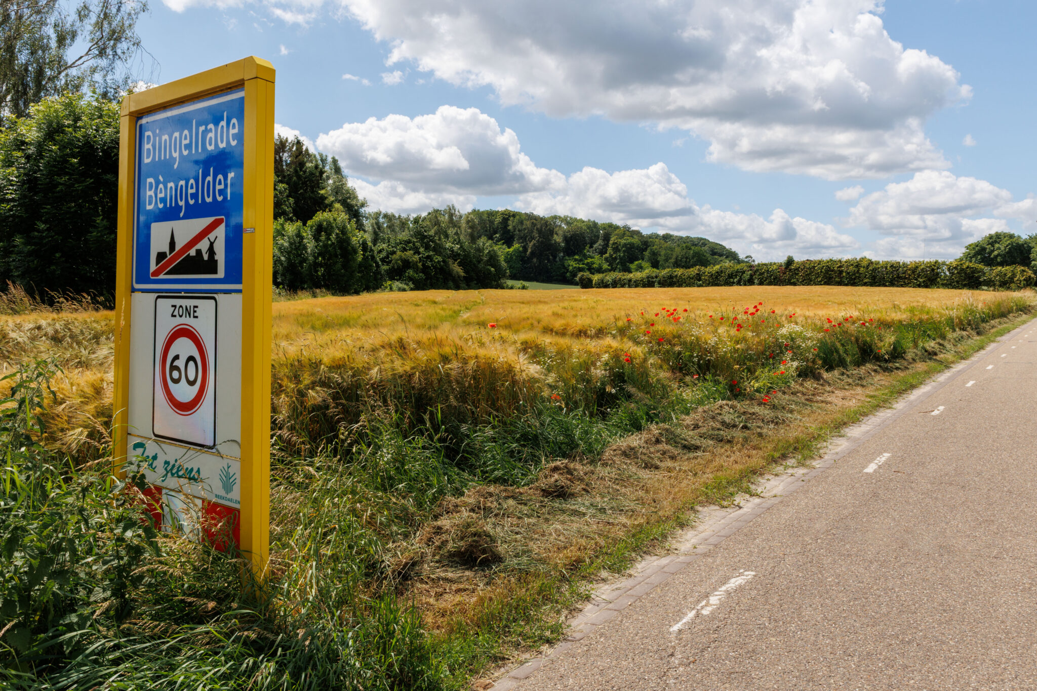 Het bos gezien vanaf de Wiegelraderstraat bij Bingelrade